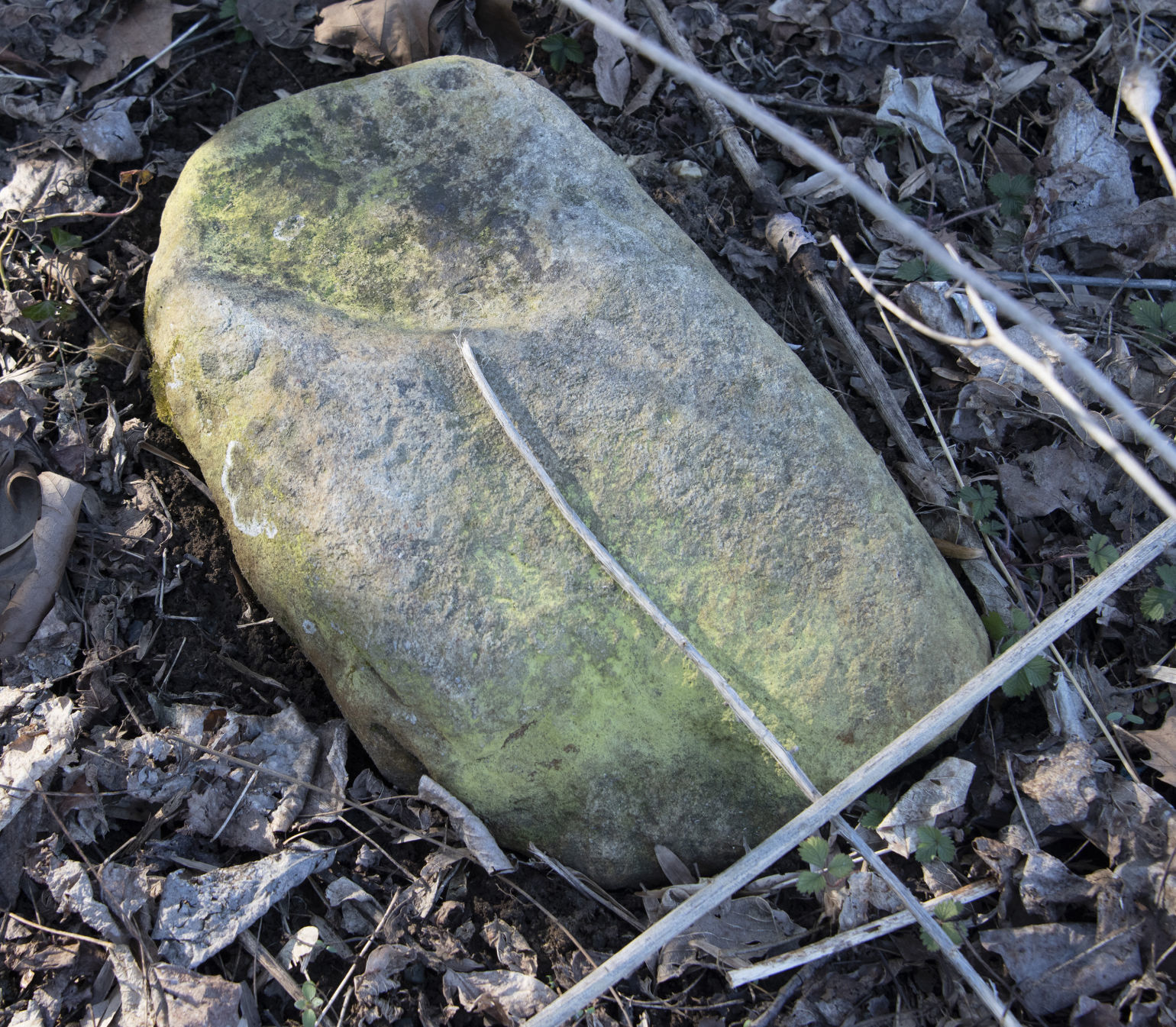 Catoctin Furnace cemetery